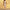 WW | Einfarbiger Jumpsuit mit Pailletten
