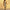 WW | Schlichter Glitzer-Overall
