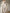 WW | Damen Chiffon Langarm Off-Shoulder Midi Kleid