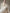 WW | Damen Chiffon Langarm Off-Shoulder Midi Kleid