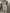 WW | Damen Jumpsuits V-Ausschnitt Botanischer Druck Schmaler Jumpsuit