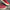 WW | Damen Atmungsaktive Slipper Hallux Schuhe