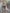 Maeve️ | Der elegante, glitzernde Seiden-Cardigan-Pullover
