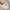 WW | Mary-Jane-Flats mit Eckiger Spitze und Blumendetail