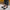 WW | Mary-Jane-Flats mit Eckiger Spitze und Blumendetail