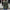 WW - Damen khaki lässige Kordelzugjacke