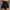 WW | Bequeme Kurze Hose Für Damen