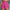 WW | Bequeme Kurze Hose Für Damen