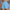 WW | Bequeme Kurze Hose Für Damen