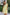 WW | Stilvolles Kurzes Kleid