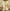 WW | Stylisches Set mit Top und Shorts
