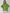W&W - Winter-Rollkragenpullover mit lockerer Passform