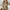 W&W - Cozy Chic modische Allround-Strickjacke