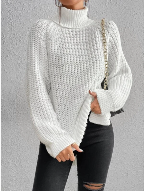 W&W - Gemütlicher Strick-Rollkragenpullover