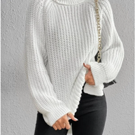 W&W - Gemütlicher Strick-Rollkragenpullover