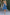 W&W 2 in 1 Sommerkleid mit integrierter Shorts