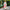 W&W Bunte lange Damen-Strickjacke