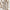 W&W| Weicher Damen-Cardigan