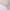 W&W  Ibiza Style Sommerkeid aus Satin