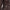 W&W – Der ultimative stylische Mantel