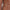 W&W – Der ultimative stylische Mantel