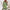 W&W | Florales Kleid - Strahlend im Sommer