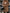 W&W Solide Farbe Mantel Jacke