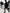 W&W Solide Farbe Mantel Jacke