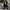 W&W Solide Farbe Mantel Jacke