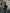 W&W - Statement-Jacke mit Halstuch