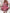 W&W | Florales Kleid - Strahlend im Sommer