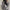 WOLF Zip-up Oversized Solid Pocket Hooded Langarm Lose Baseball Jacke