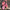 W&W Harajuku Bär Teddy Druck Plüsch Jacke flauschige Kapuze Oberbekleidung
