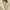 W&W | Wendejacke mit Kapuze