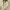W&W | Wendejacke mit Kapuze