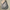 Seitenansicht einer Frau, die eine blaue Wendejacke mit Kapuze, Reißverschluss und Tasche trägt