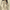 W&W | Wendejacke mit Kapuze