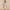 BEAUKEY 2020 Summer Women Sexy Off Shoulder V Neck HL Bandage Dress Green Bodycon Sheath Elegant Knee Length Party Club Vestido - Wolf Fashion