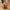 W&W – Sommersandalen aus Leder