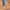 W&W – Sommersandalen aus Leder