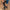 W&W – Sommersandalen aus Leder