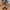 W&W – Sommersandalen aus Leder