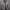W&W - Extra warme abnehmbare Winterjacke mit Kapuze