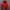 W&W - Extra warme abnehmbare Winterjacke mit Kapuze