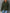 W&W – Pullover mit entspannter Passform