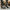 Eudex - Stylische Lederstiefel Retro-Look - FashionWOLF