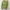 W&W | Wickel-Cardigan mit stilvollen Knopfdetails