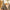 KozySocks - Warme und bequeme lange Socken - FashionWOLF