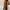Suitsy – ein supereleganter Mantel - FashionWOLF