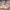 Vigar – Superbequeme Latschen - Wolf Fashion